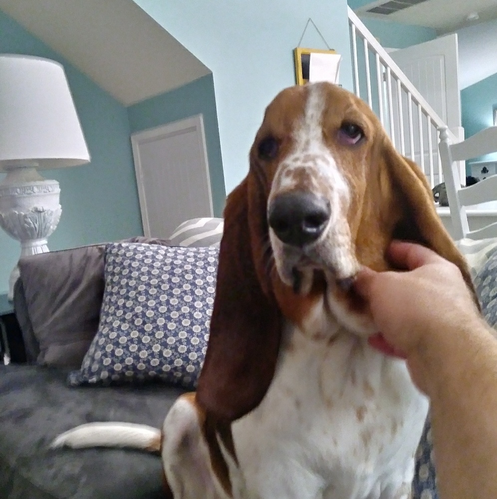 Meet your Posher, Nate